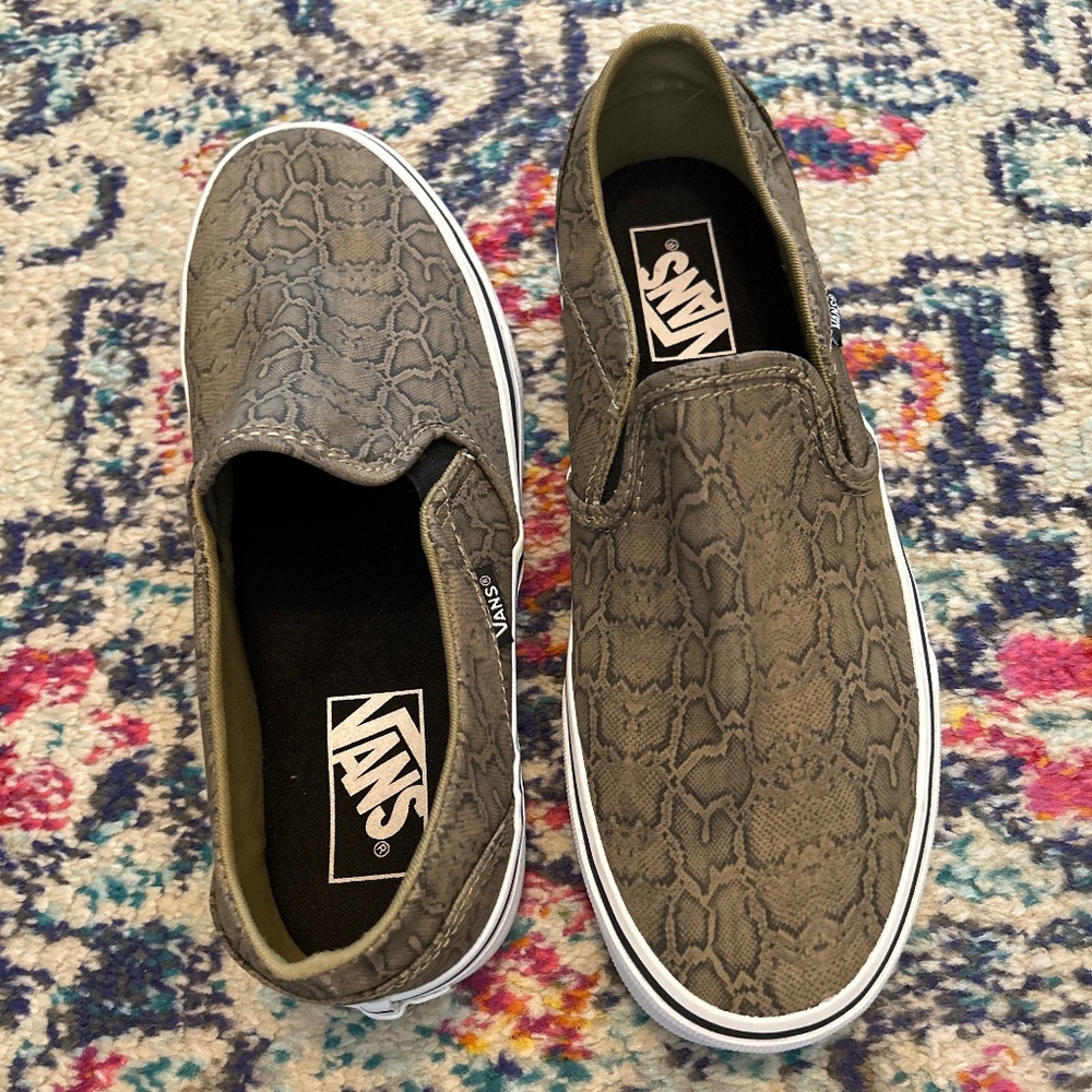 Van Slides